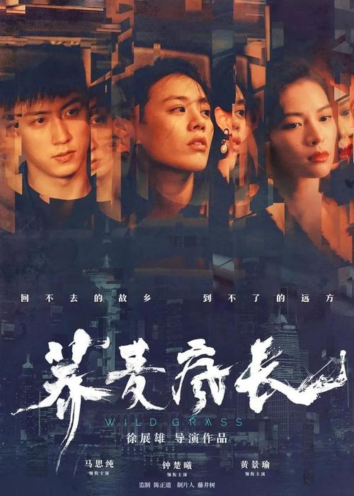 仿制印度护照
